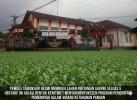 Pemdes Tamansari Dorong Ketahanan Pangan Lewat BUMDes, Buka Lahan Jagung 5 Hektare