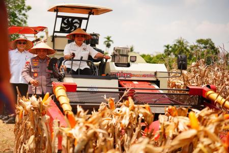 Panen Raya Kuartal III Polri Hasilkan 751 Ribu Ton Jagung Bukti Nyata 