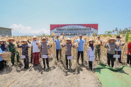 Kapolda Jatim dan Forkopimda Panen Raya Jagung Kuartal III Banyuwangi 