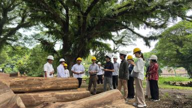 Delegasi Metropolitan Tokyo Sambangi KPH Kendal, Pelajari Pengelolaan Hutan Lestari Perhutani