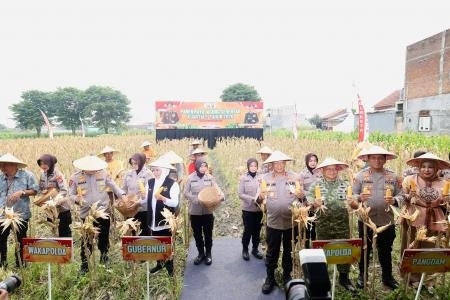 POLDA JATIM GELAR PANEN RAYA JAGUN