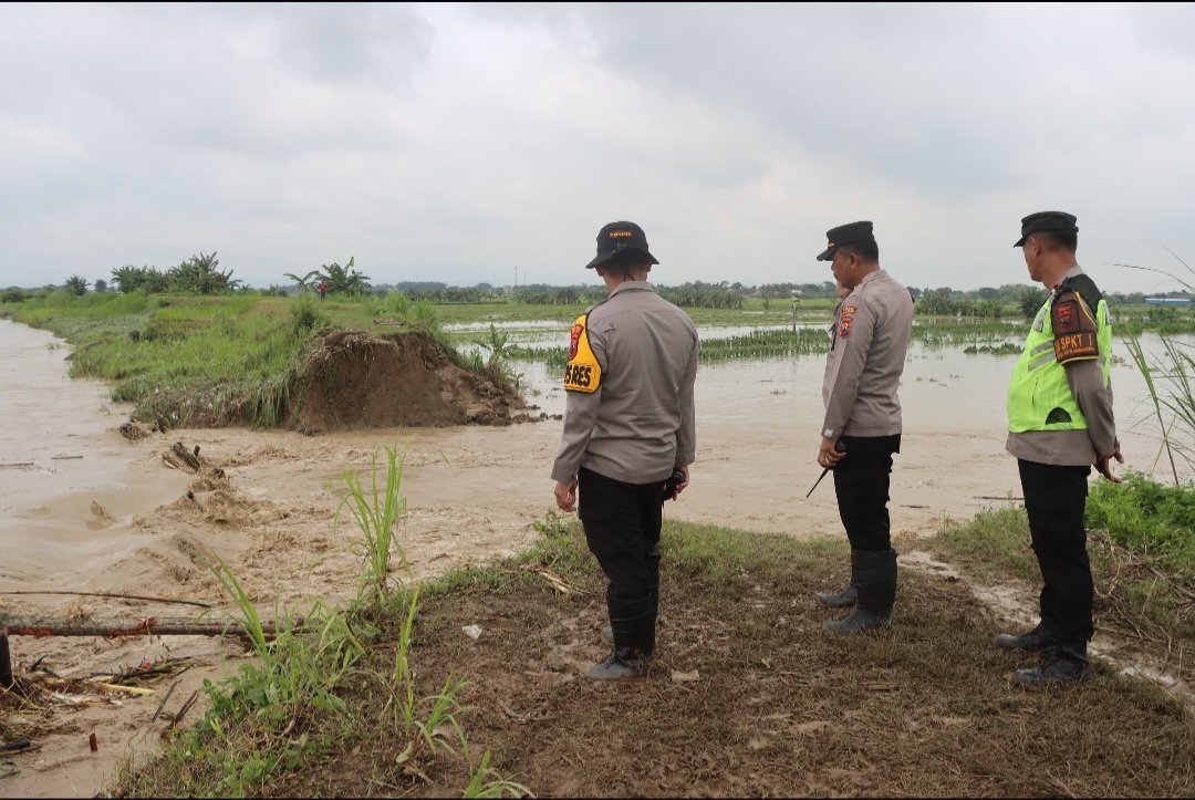 Tanggul Sungai Cabean Jebol, Ratusan Personel Polres Demak Dikerahkan Evakuasi Warga  Tanggul Jebol 