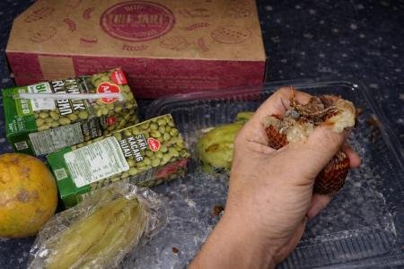 MBG Taddan Diduga Nyaris Racuni Siswa 