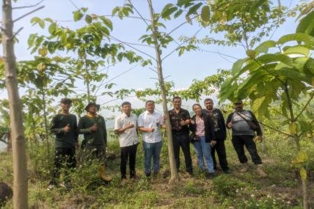 PT Hua Hong Art Home Tinjau La