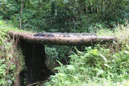 Jembatan Desa Krangean Bakal Jadi Prio