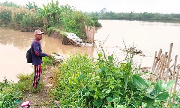 Tanggul Sungai Bodri di Pidodokulon Jebol Hampir Dua Pekan, Ratusan Warga Terancam Banjir