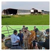 Perusahaan limbah bulu ayam Poncoharjo Bonang diduga berani lawan DLH & Satpol PP 