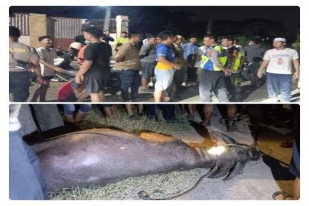 Satreskrim Polres Kudus Ungkap Kasus Curas Lansia Pelaku Simpan Emas d