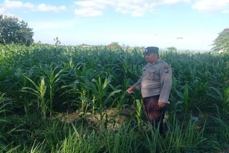 Bhabinkamtibmas Desa Dono Kecamatan Se