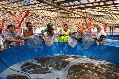 Panen Raya Ikan Nila BUMDes Si