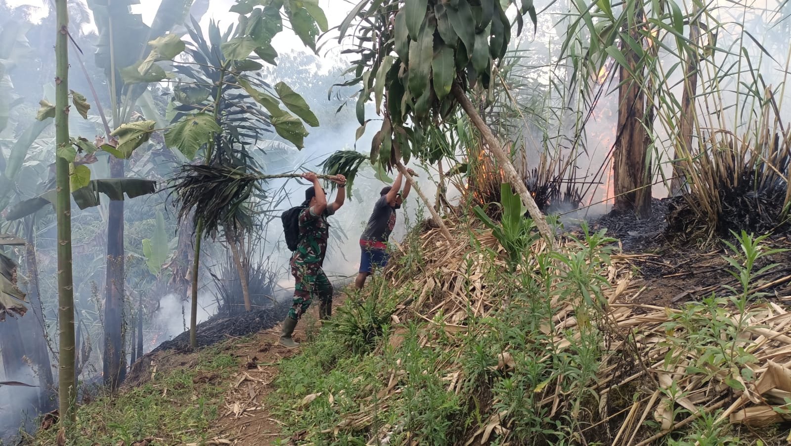 Sinergi TNI-Polri dan Masyarakat Padamkan Karhutla di Hutan Perhutani Mrebet