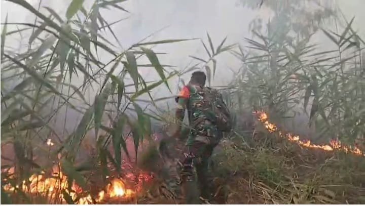  Hutan Pinus di Desa Sirau Terbakar, Petugas Terkendala Medan Curam dan Angin Kencang