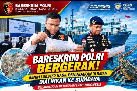 Dorong Budidaya Legal Dittipidter Bare