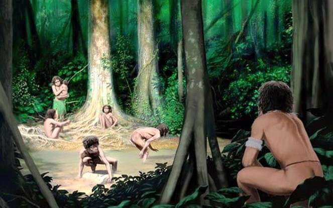 Menguak Kaum Pengalasan Atau Suku Pejajaran Di Hutan Purbalingga