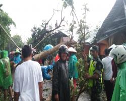 Hujan dan Angin Besar Memporak Porandakan Desa Sokawera