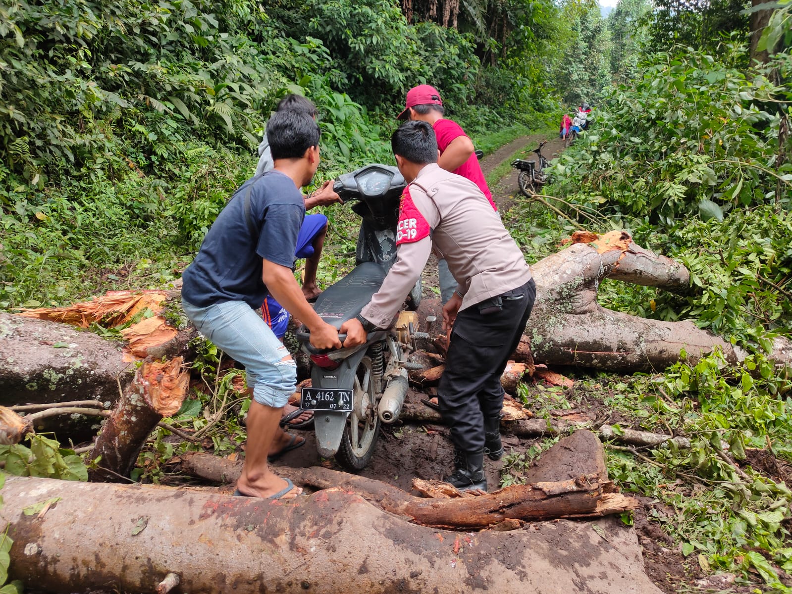 Pohon Tumbang Tutup Akses Jalan Ke Desa Cikedung Polsek Mancak Polres 