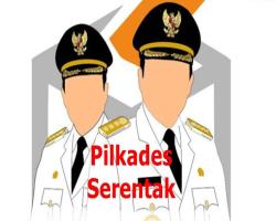 Di Duga Ada Permainan Politik Kades Desa Pabuaran Sat Di Komfirmasi  M