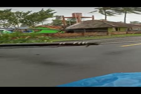 AKIBAT ANGIN KENCANG DI JALAN RAYA ANYER MENGAKIBATKAN BEBERAPA TIHANG