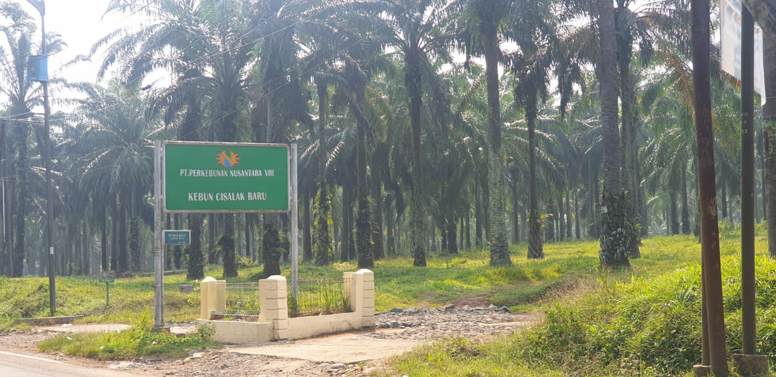 Pengelolaan Lahan Hgu Pt Pn Viii Diduga Labrak Perda, Fpmi Desa Pemkab