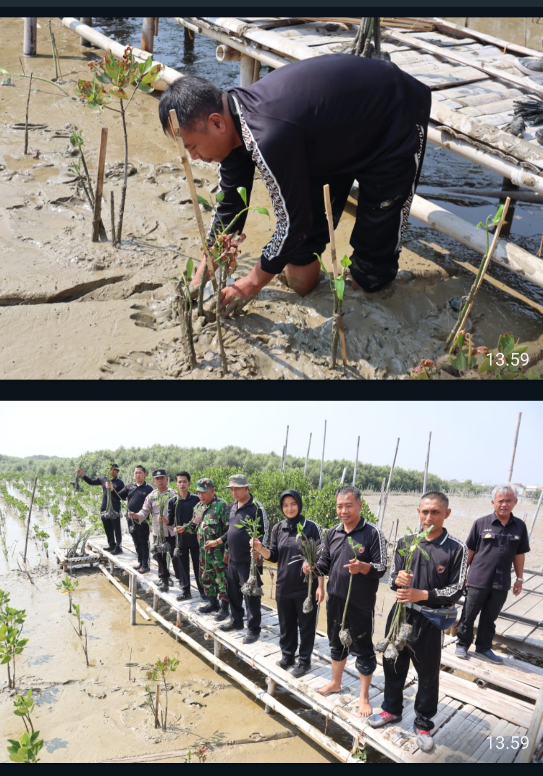 Menyambut Hut Humas Polri Ke 72 Tanam Ratusan Bibit Mangrove