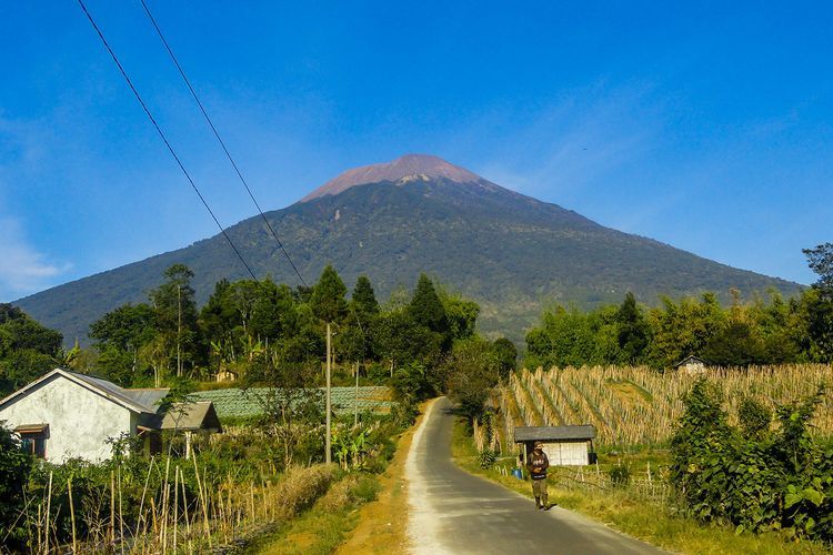 Status Gunung Slamet Meningkat Jadi Waspada!