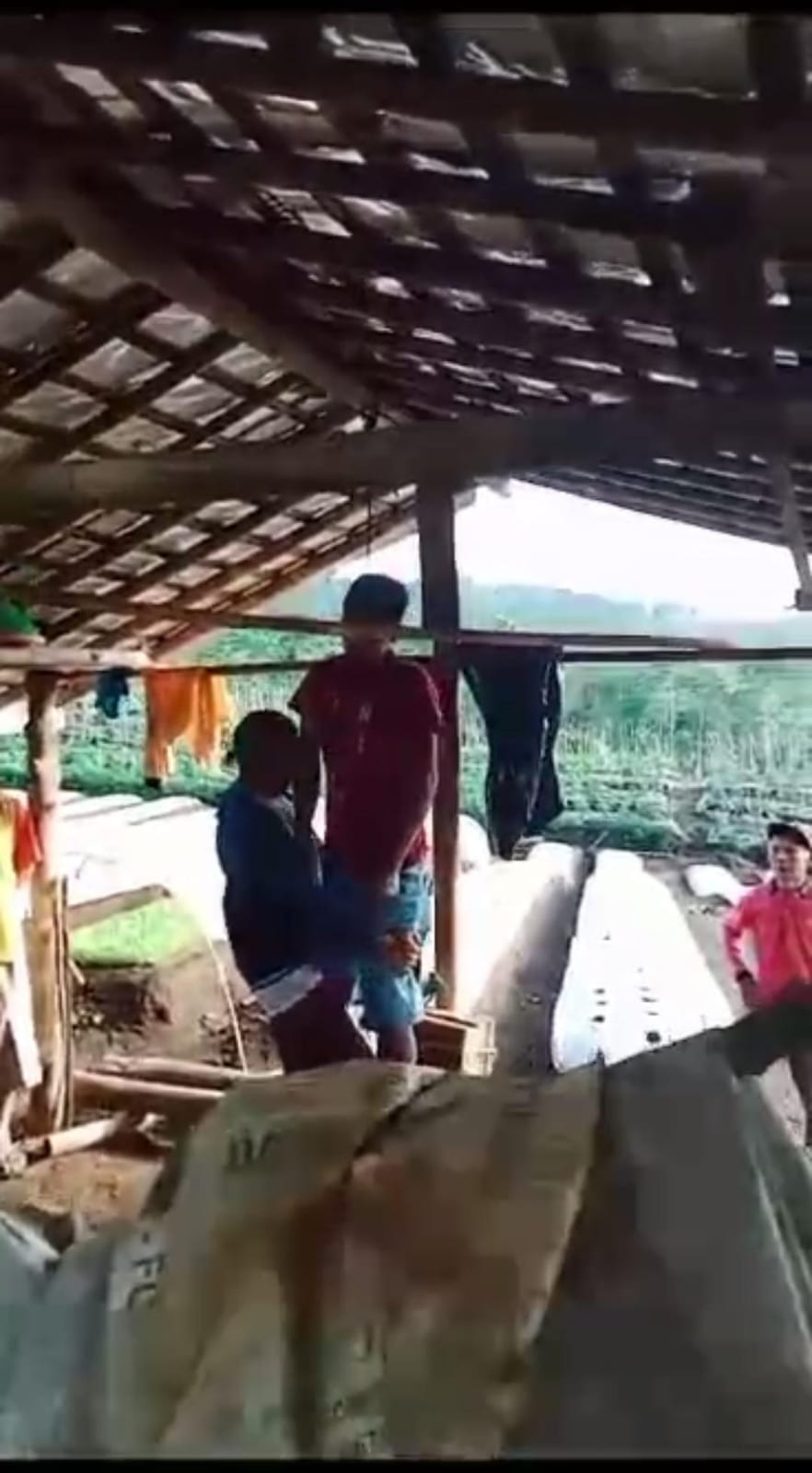 Warga Desa Bumisari Ditemukan Tewas Gantung Diri Di Gubug Kebun