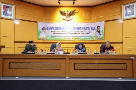 Plh Sekda Banten Sampaikan Gagasan dalam Rakor Ekosistem Pusat Industr