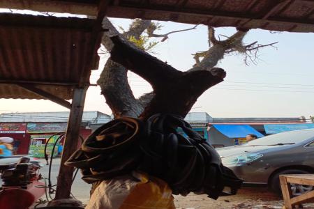 Respon Cepat DLHK Kabupaten Lebak Tindak Lanjuti Laporan Warga Terkait