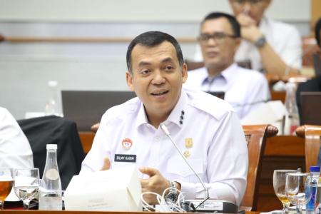 Silmy Karim Revisi UU Imigrasi untuk Penguatan Pengawasan WNA  dan Per