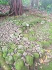 Situs Makam Kyai Jeneng Desa Sumingkir