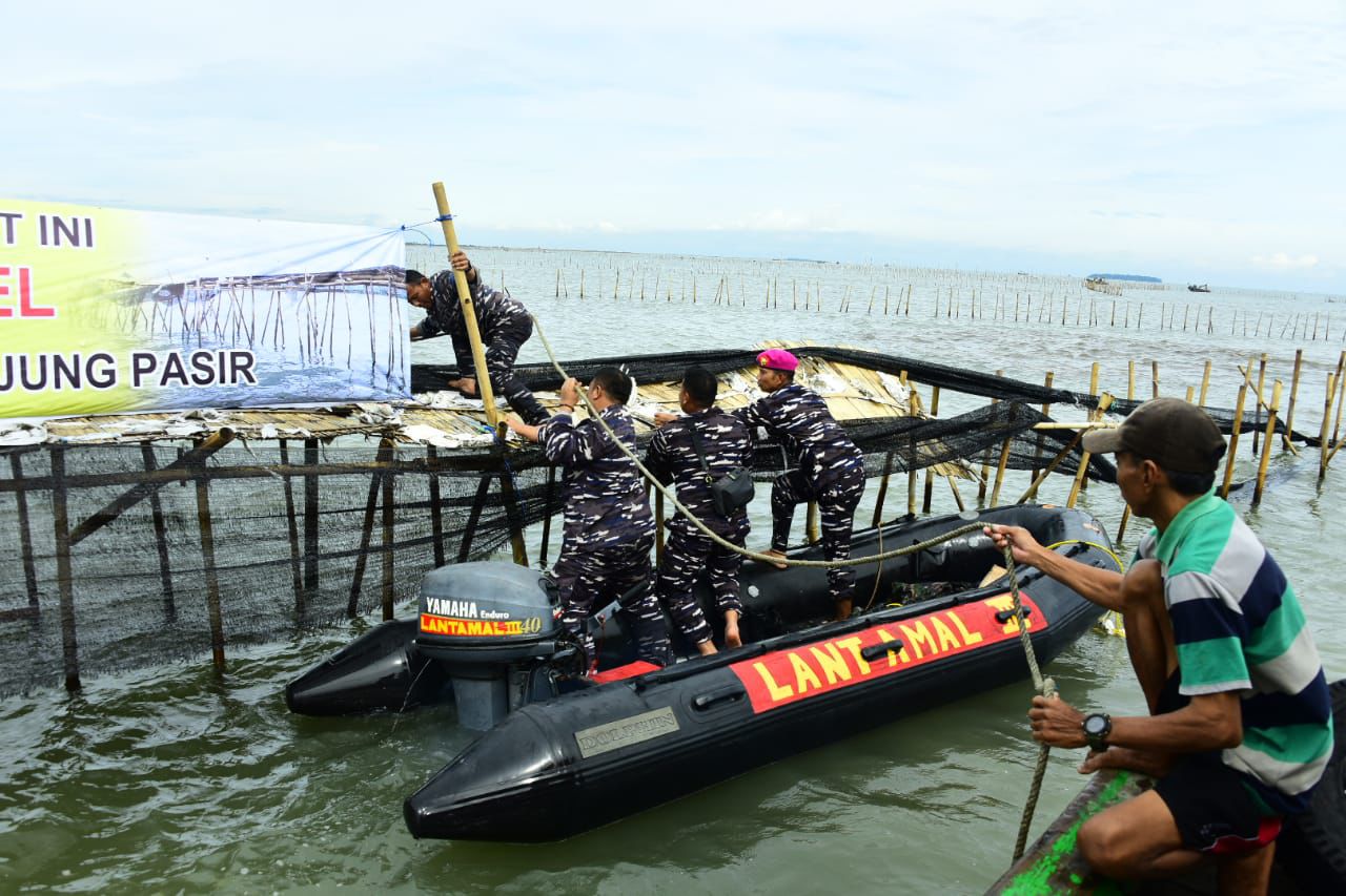 Tni Al Bersama Masyarakat Pesisir Bongkar Pagar Laut Sepanjang 30 Km D
