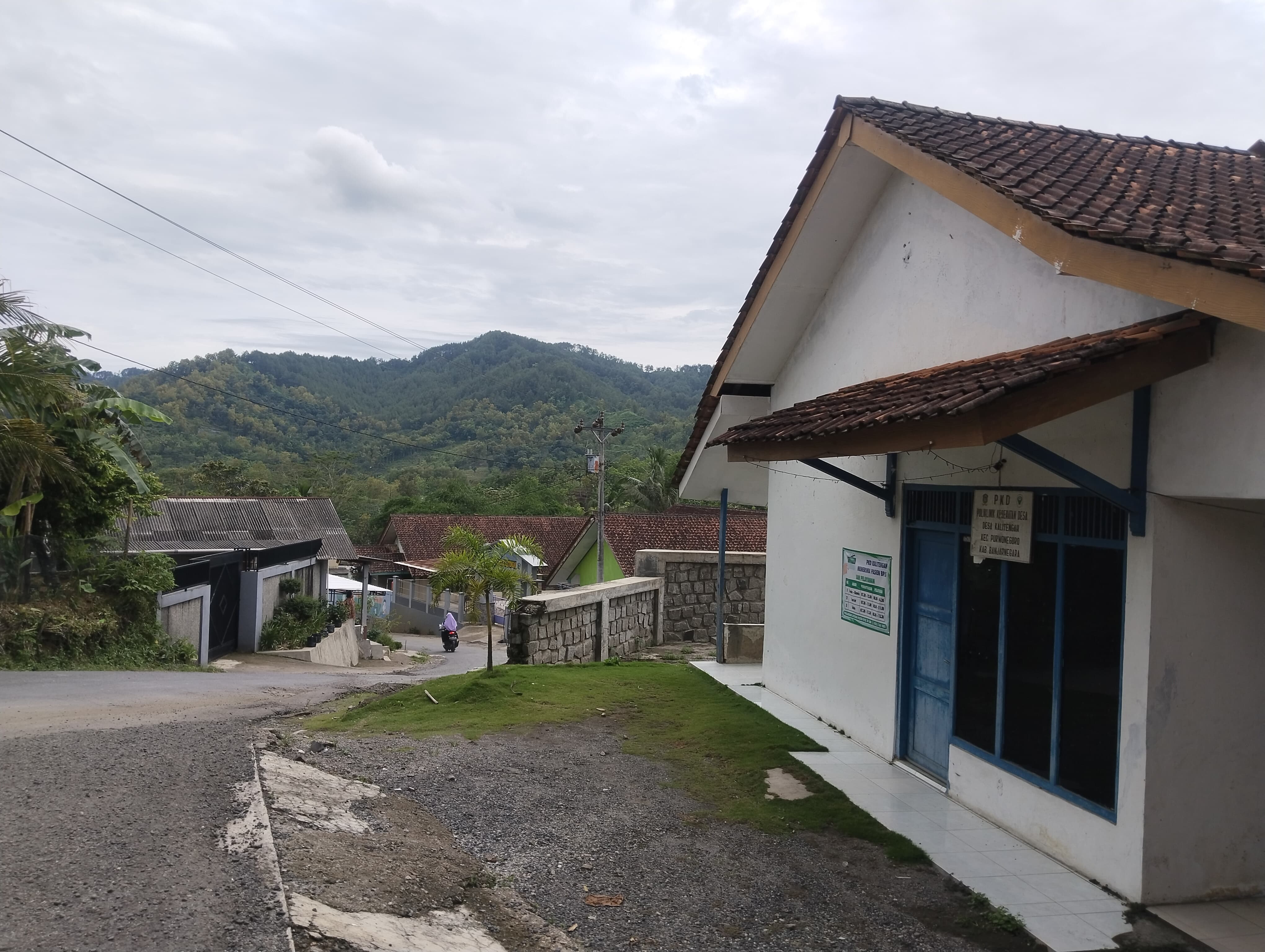 Desa Kalitengah, Optimalisasinkerahanan Pangan Dengan Pertanian