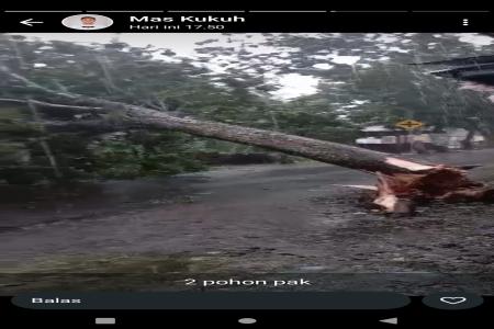 Evakuasi Pohon tumbang di Desa Kedungwuluh akibat hujan dan angin 
