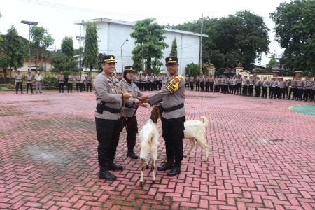 Dukung Ketahanan Pangan Kapolres Sumenep Serahkan Bantuan 54 Ekor Kamb