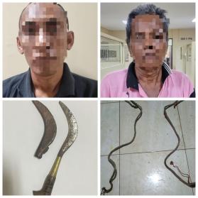 Curi Dua Ekor Sapi Di Kec. Batang batang, Pelaku Berhasil Diringkus Po