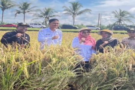 Kepala Dinas DPKP Dampingi Bupati Dan Wabup Pandeglang Giat Gerakan Pa