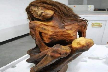 Mumi Dermold merupakan mumi Perempuan di Lippisches Landesmuseum Dermo