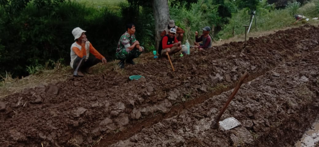 Turun Ke Sawah, Babinsa Koramil 18 pagerbarang Dampingi Petani Siapkan