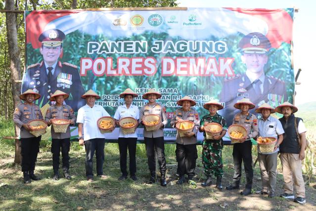 Dukung Ketahanan Pangan Nasional, Kapolres Demak Pimpin Panen Jagung