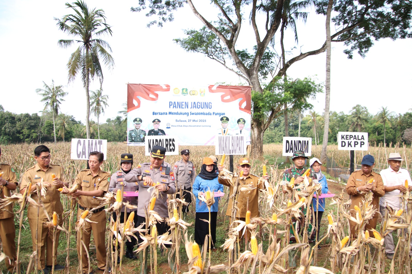 Dukung Ketahanan Pangan Kapolres Sumenep Bersama Forkopimda Panen Jagu