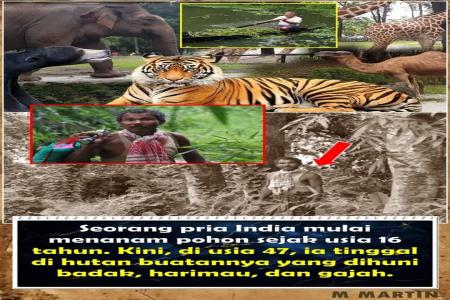 Dari Tangan Pria India Tercipta Hutan yang Jadi Surga bagi Satwa Liar