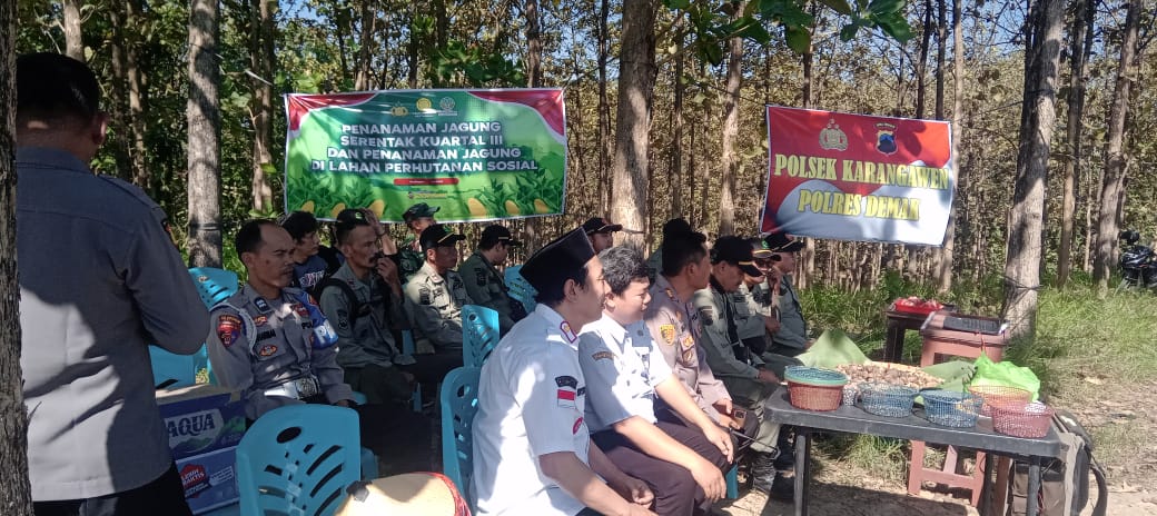Perhutani Turut Andil Wujudkan Program Ketahanan Pangan Melalui Upaya