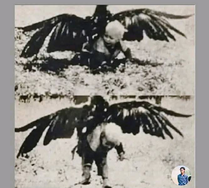 Disambar Dari Langit Kisah Nyata Yang Menggetarkan Dari Norwegia 1932