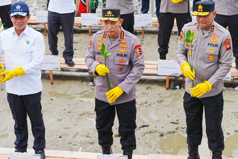 Tanam Mangrove Di Kalbar, Kapolri: Jaga Lingkungan Untuk Masa Depan An