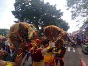Karnaval Kemerdekaan Hut Ri Ke 80 Di Wonosobo: Ribuan Peserta Tumpah,