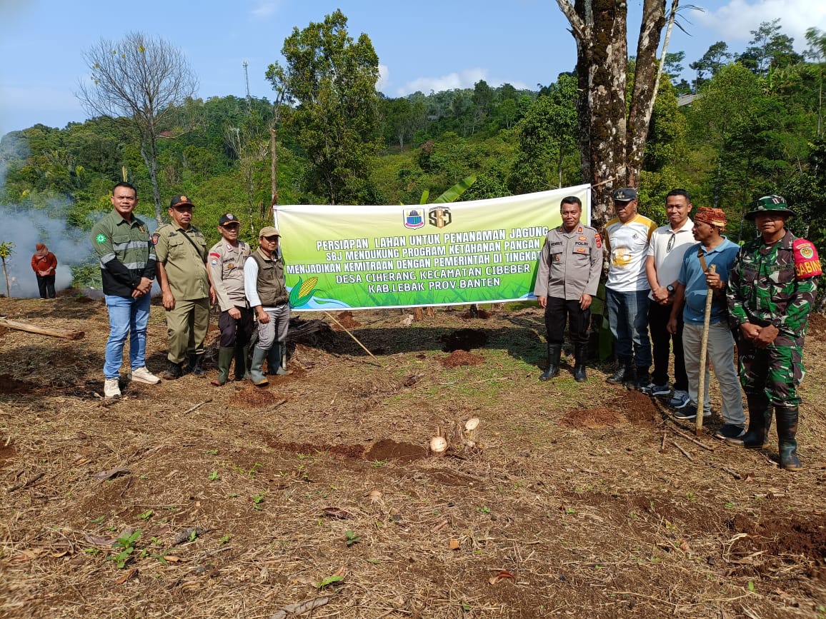 Sinergi Pt Sbj Dan Warga Ciherang: Wujudkan Program Jagung 1 Hektare