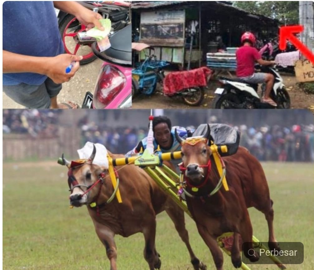 Aksi Pemalakan Parkir Nodai Suksesnya Festival Calender Event Karapan