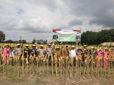 Perkuat Ketahanan Pangan Polres Blitar Kota Bersama Forkopimda Panen R