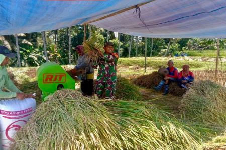 Bulir Padi Pilar Negeri Sinergi Babinsa Dan Petani Karangrejo Jaga Ket