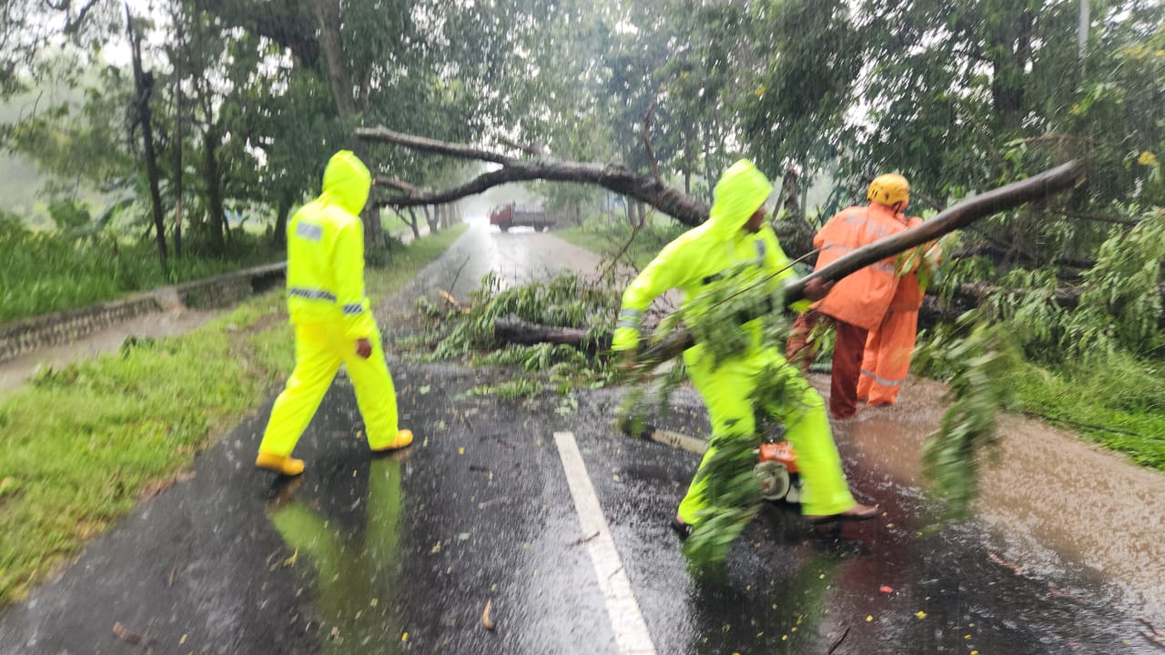 Respon Cepat Polisi Dan Bpbd Evakuasi Pohon Tumbang, Jalur Magetan –